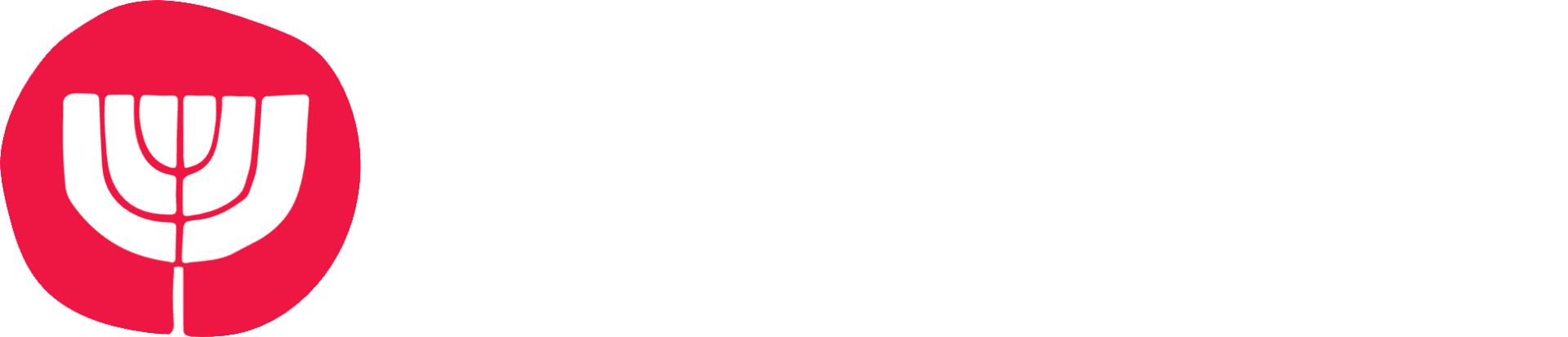 A green banner with white letters that say " north texas persianic college ".